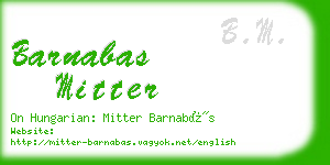 barnabas mitter business card